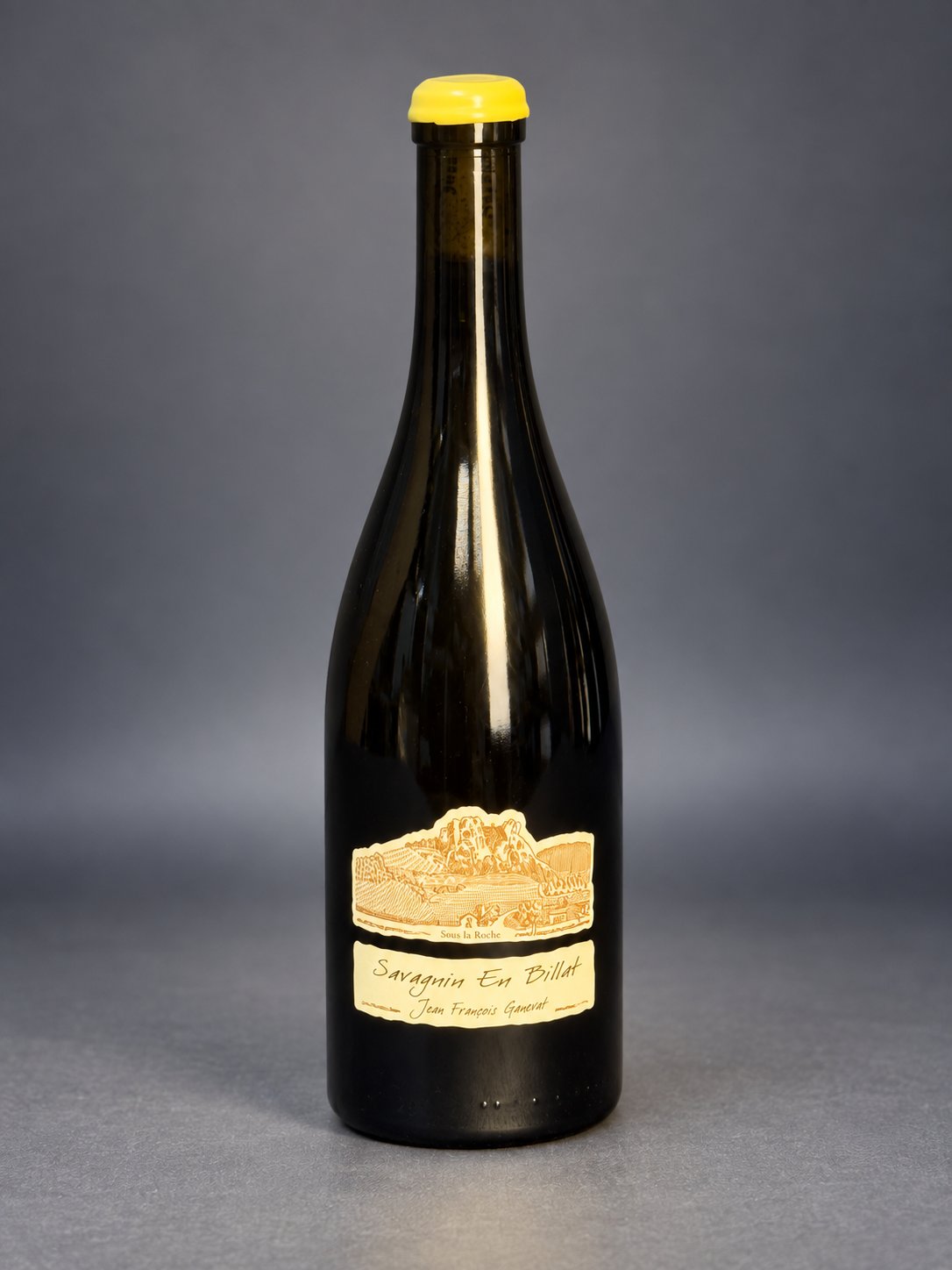 Foto von Domaine Ganevat En Billat 2018