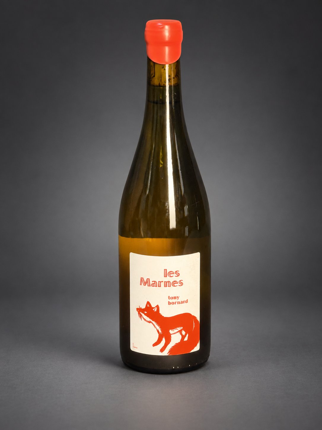 Foto von Tony Bornard Les Marnes 2018