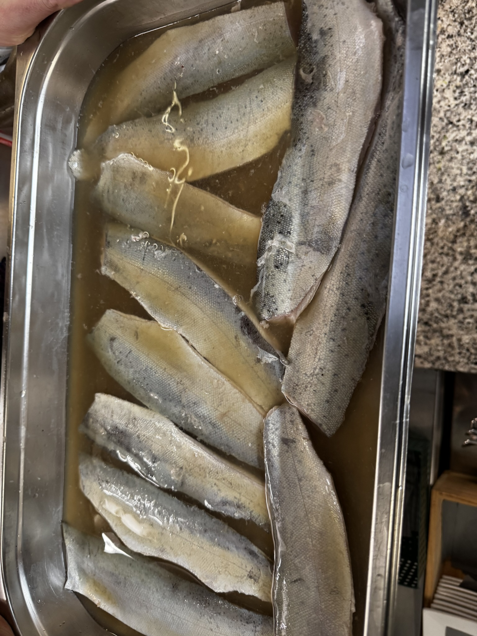 Tasting Rare Burgunder – Veranstaltungsfoto: Der Fisch
